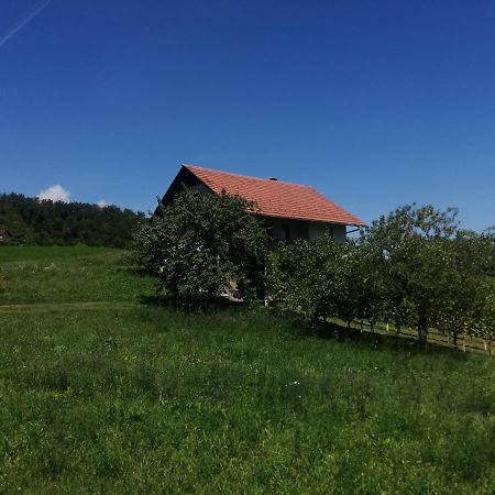 Apartma Gorca Plevnik Buce Exteriör bild