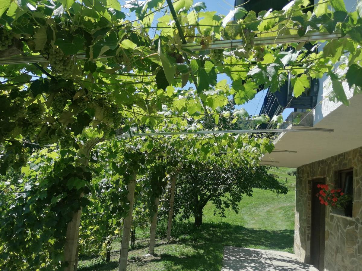 Apartma Gorca Plevnik Buce Exteriör bild